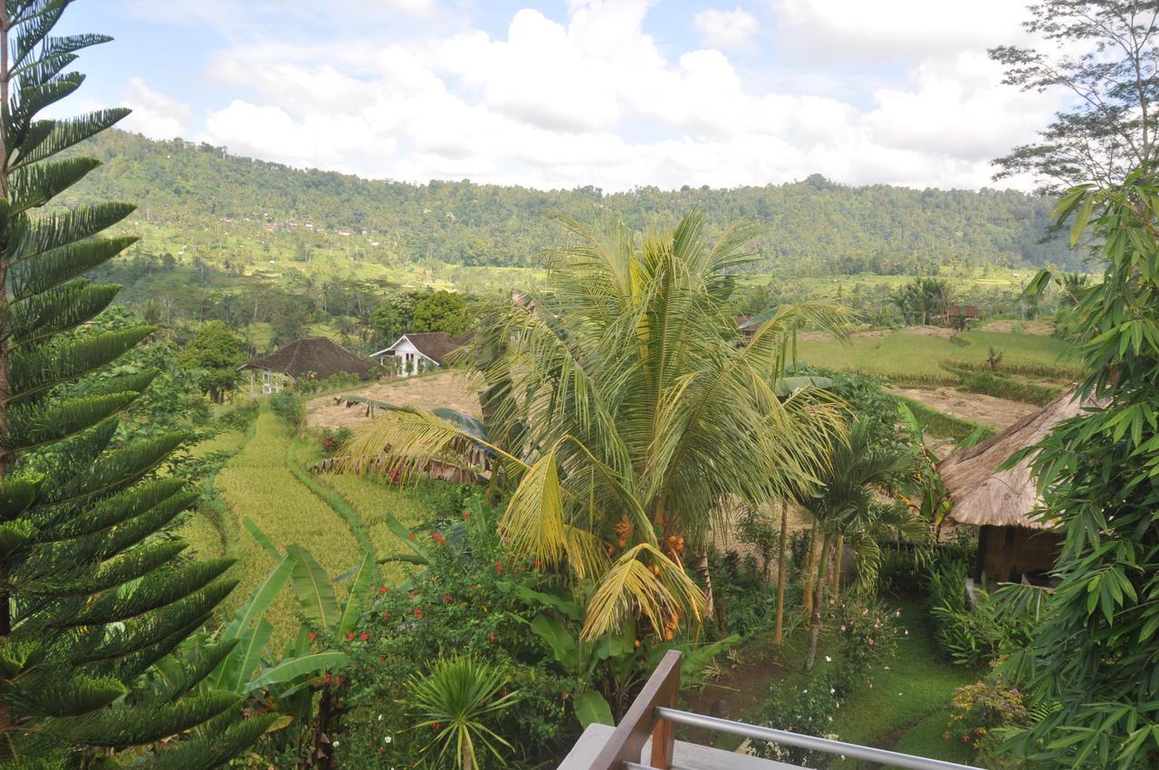 Villa Shantiasa Bali ซิเดอมัน ภายนอก รูปภาพ